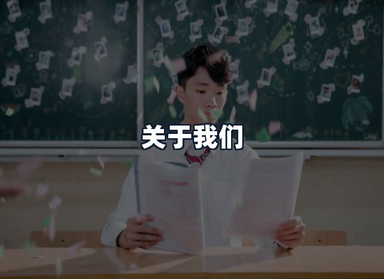 关于我们